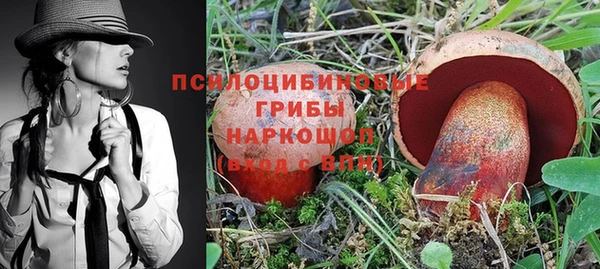 индика Алексеевка
