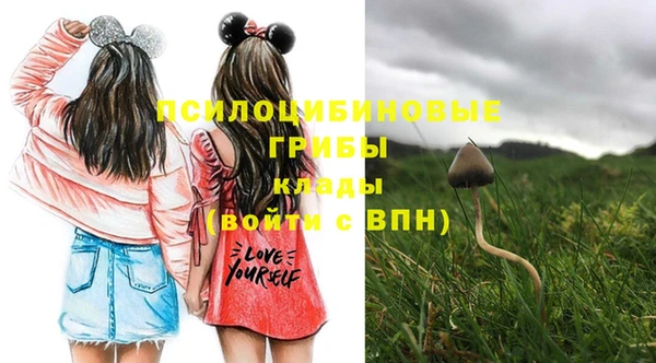 индика Алексеевка