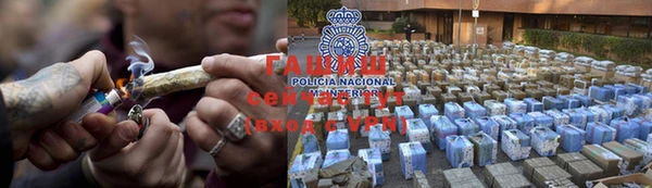 сатива Алзамай