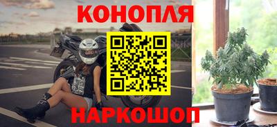 Альфа ПВП Партизанск