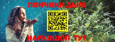 индика Пенза