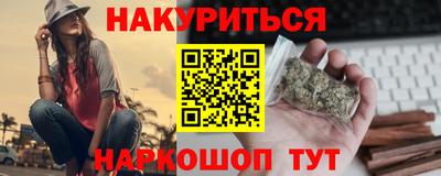 индика Пенза