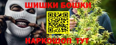 индика Пенза