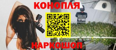 индика Пенза